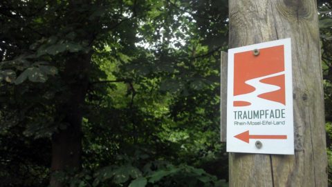 20140706_Traumpfad_Waldschluchtenweg_003