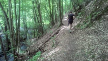 20140706_Traumpfad_Waldschluchtenweg_007