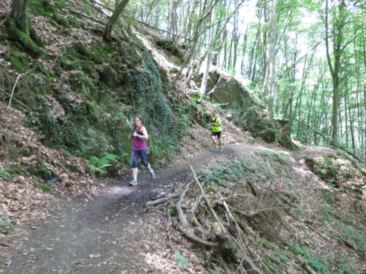 20140706_Traumpfad_Waldschluchtenweg_010