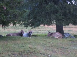 20140828_Sommerurlaub_Zugspitze_005