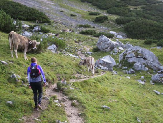 20140828_Sommerurlaub_Zugspitze_020