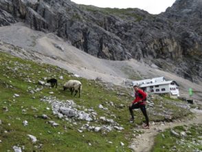 20140828_Sommerurlaub_Zugspitze_042