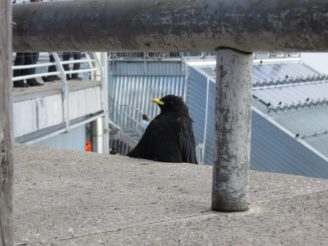 20140828_Sommerurlaub_Zugspitze_088