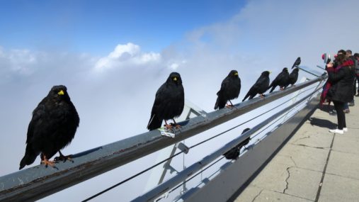 20140828_Sommerurlaub_Zugspitze_091