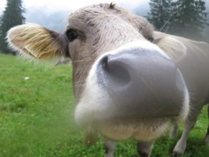 20140830_Sommerurlaub_Karwendelmarsch_005