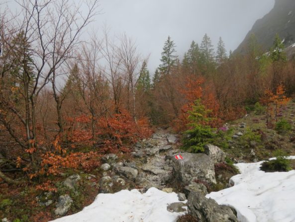 Wilder_Kaiser_Mai_2015_Tag1_28