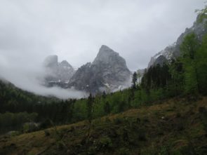 Wilder_Kaiser_Mai_2015_Tag2_18